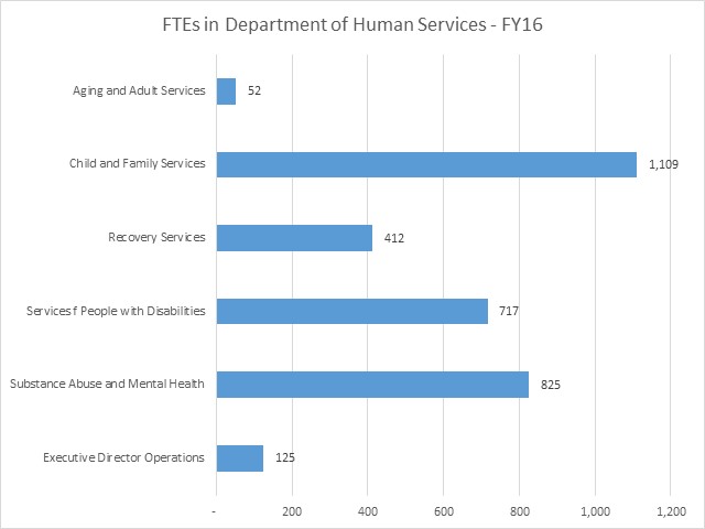 Full-time equivalent staff positions in the Department of Human Services by major program categories
